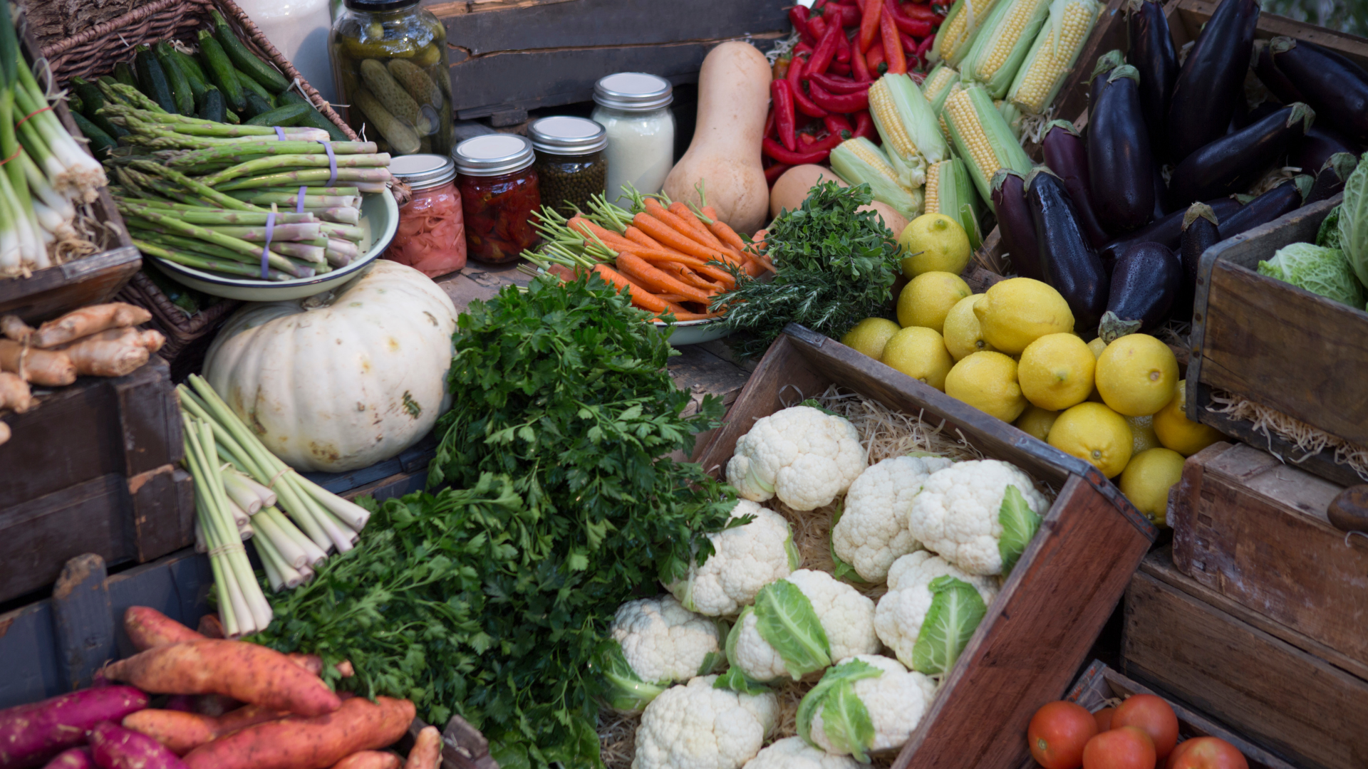 Empowering Health Equity