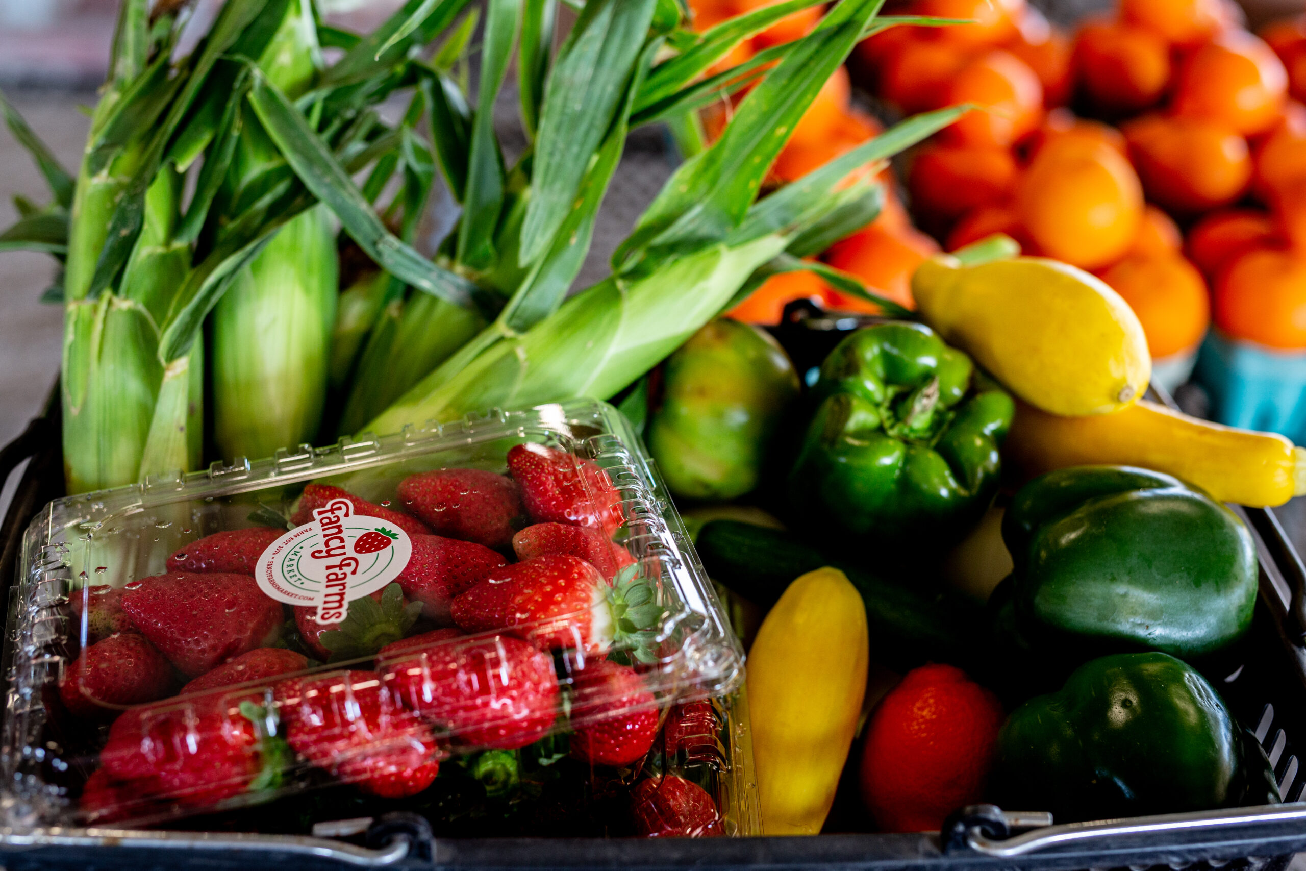 Root to stem recipes